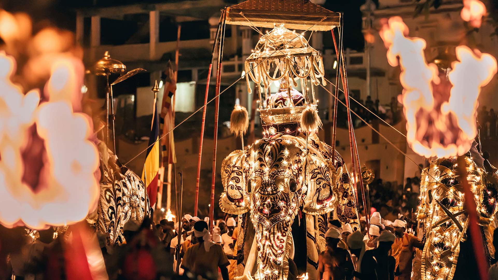 Majestic tusker Esala Perahera Sachin Fernando